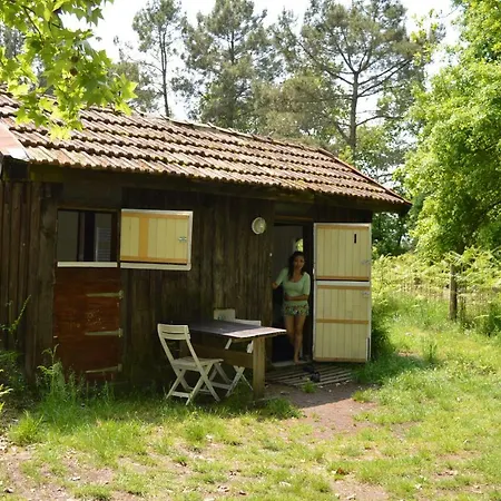 Cabane En Foret *