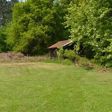 Country house Cabane En Foret