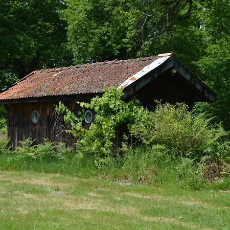 Country house Cabane En Foret Onesse-et-Laharie