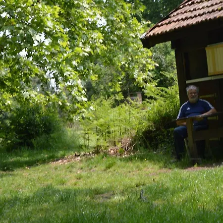 Country house Cabane En Foret *