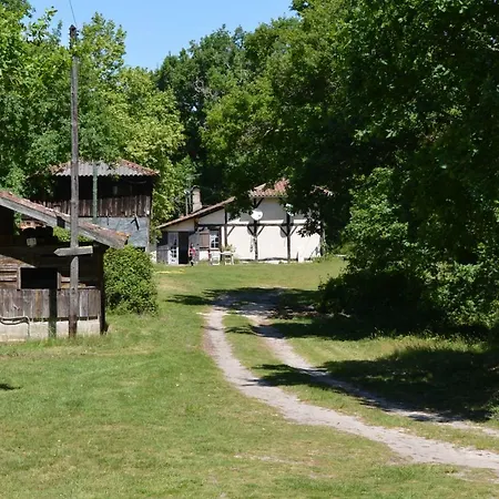 Cabane En Foret * Onesse-et-Laharie