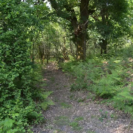 Cabane En Foret Onesse-et-Laharie